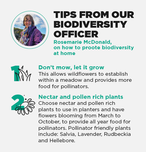 Our-City-Is-Changing_Website-Images_Tips-Biodiversity-Officer1